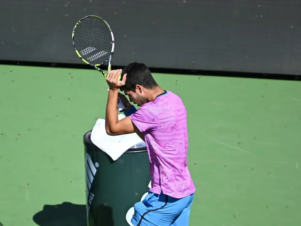 La invasión de abejas.