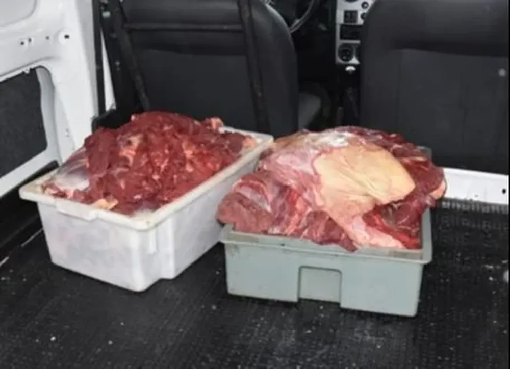 Carne incautada al grupo que robaba caballos para vender su carne en carnicerías de Rocha