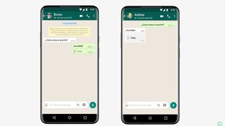 Una falla en WhatsApp Web permite guardar contenidos enviados con el modo de visualización única