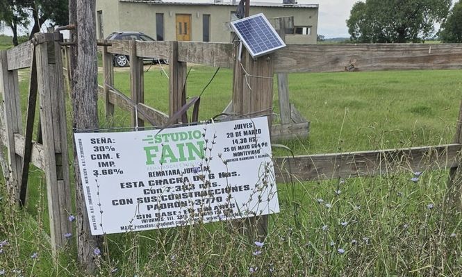 Fain remata chacra en Trinidad.&nbsp;