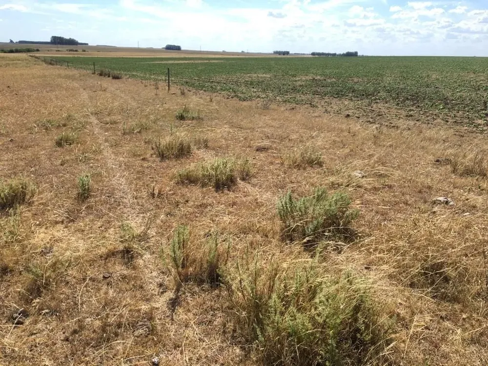 Las lluvias no son suficientes para corregir ya mismo los impactos generados por el déficit acumulado.
