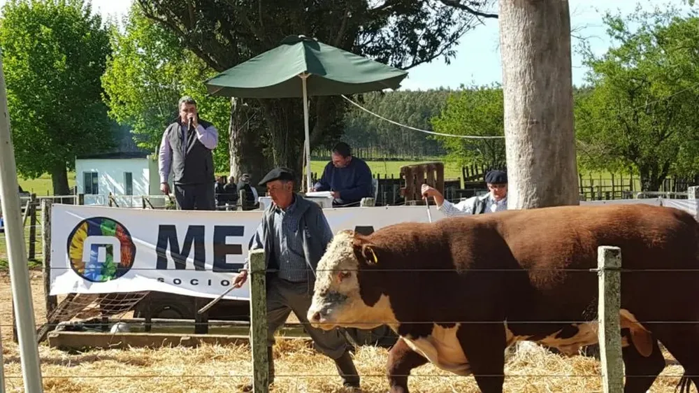 La torada de estancia y cabaña El Yatay será rematada por MegaAgro