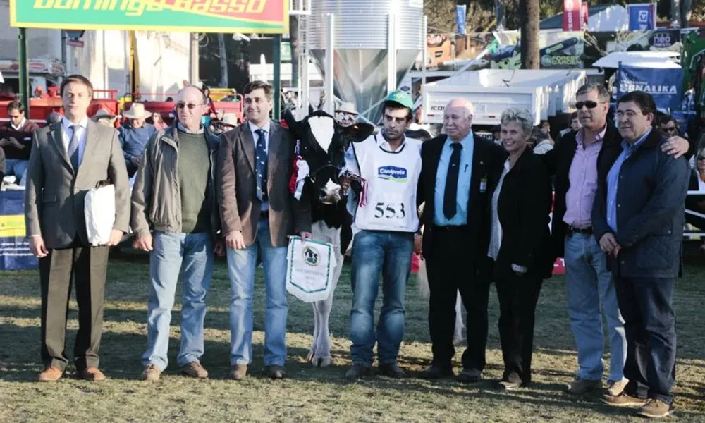 La foto de la Gran Campeona de pedigrí y Campeona Suprema en la raza Holando.