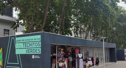 El Observador | techitos verdes .jpg