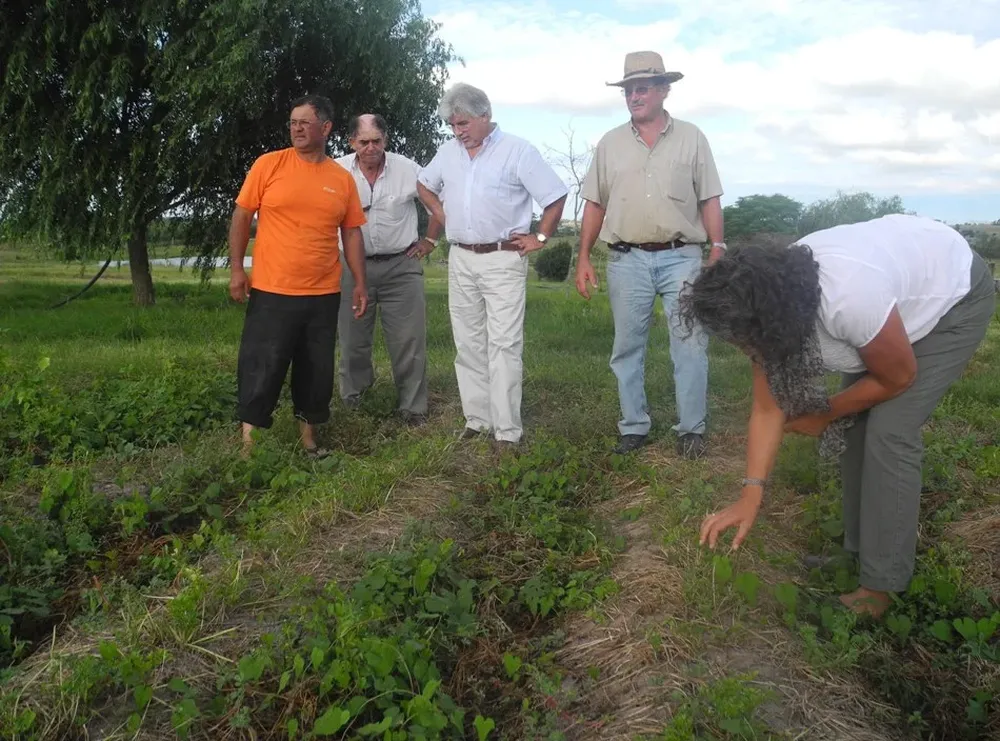 Aguerre comprobó los daños del exceso hídrico