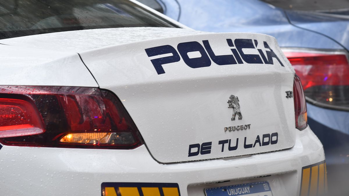 Imagen noticia completa