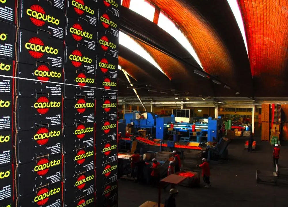 En 10 años los precios promedio de exportación crecieron en forma relevante