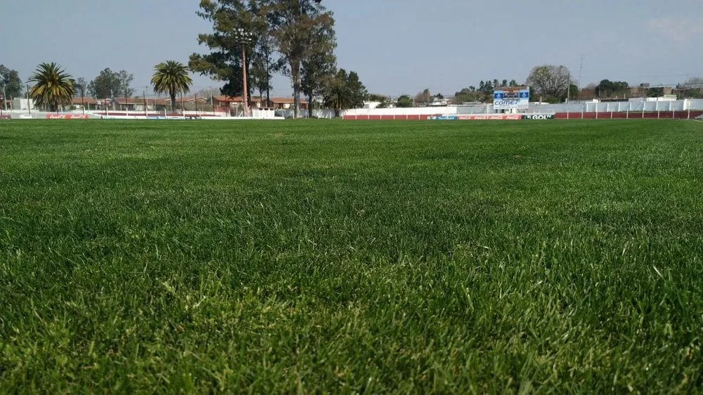El césped el Estadio Campeones Olímpicos de Florida en el comienzo del Torneo Clausura 2019
