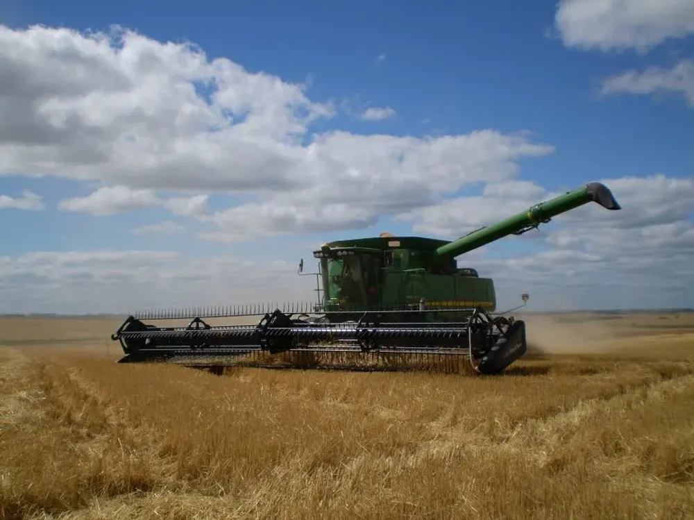 El buen estado del tiempo permitió que avance la cosecha.