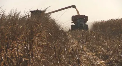 El agro en el centro de una estrategia de desarrollo