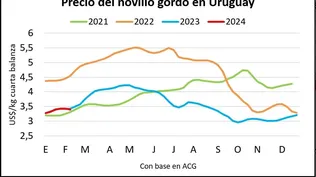 Blasina y Asociados