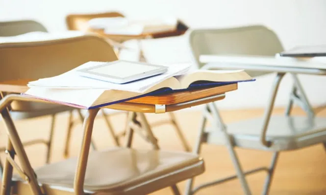 Sobre educación para el desarrollo sostenible y formación ciudadana
