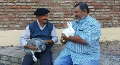 El Observador | 0024834053.webp