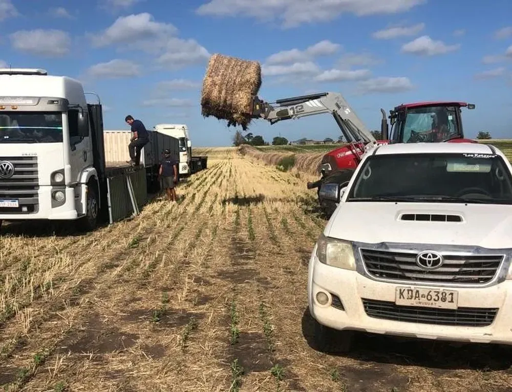 Ya se donaron más de 1.000 fardos.