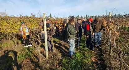 La cooperativa vende sus vinos en Uruguay y en Brasil.