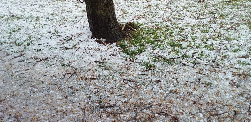 Granizada en el Norte del país