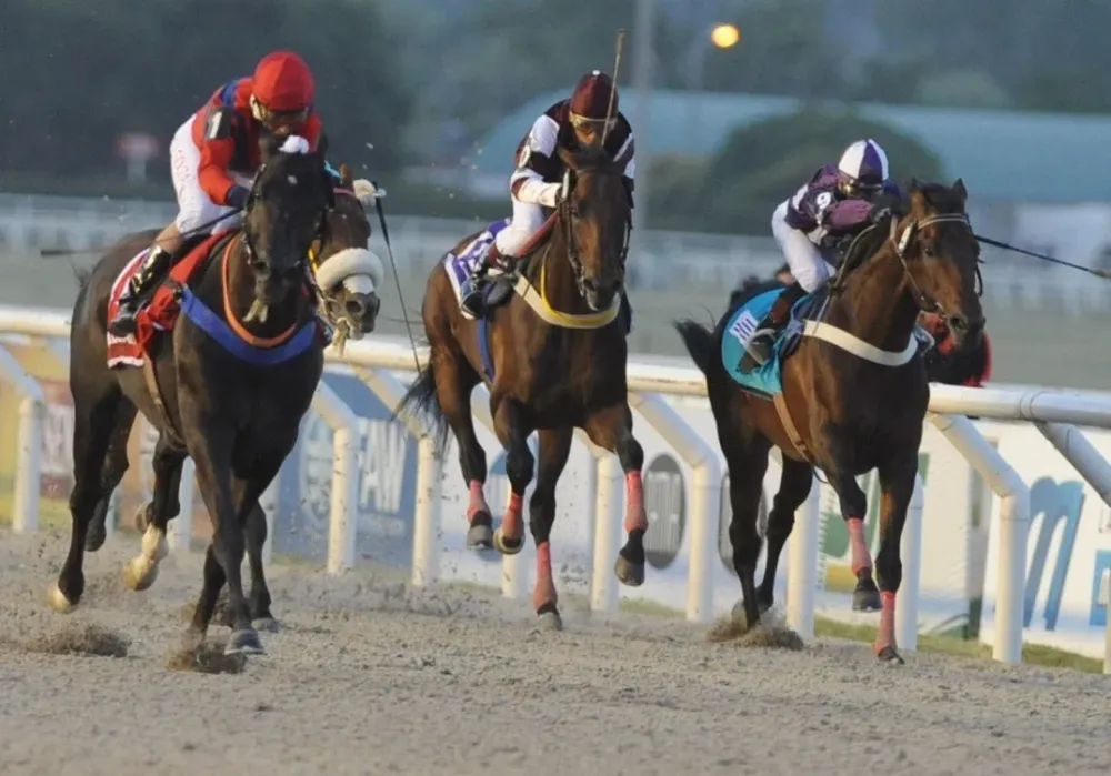 La actividad en los hipódromos se encuentra suspendida transitoriamente