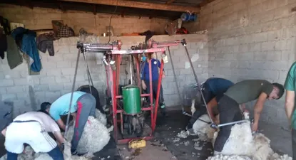 El Observador | 1657902685794.webp