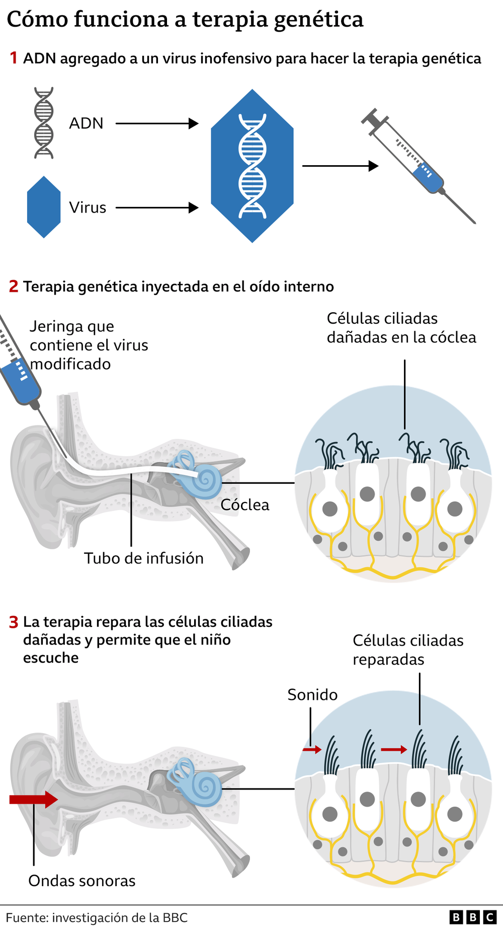 https://www.bbc.com/mundo/articles/cd13dp7pw4ro
