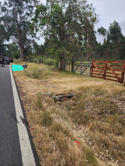 WhatsApp Image 2025-01-19 at 15.21.53.jpeg