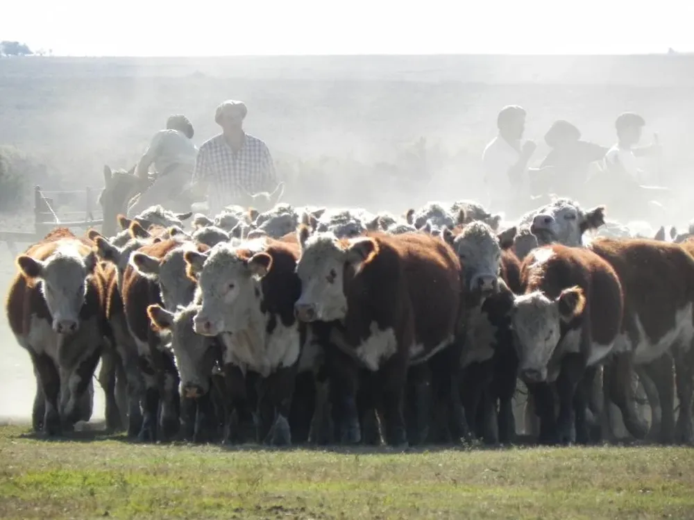 ARU dice que el sector no puede soportar un nuevo conflicto y la FR que los productores son rehenes.