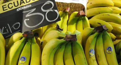 El Observador | 0016092529.webp