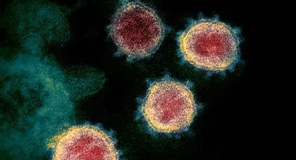 El hígado también sufre en el contagio de la covid-19