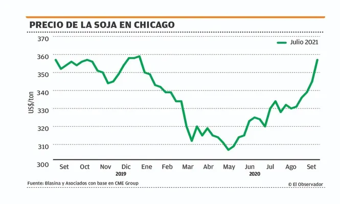 Valores locales para la soja mejoran y están sobre US$ 340 por tonelada