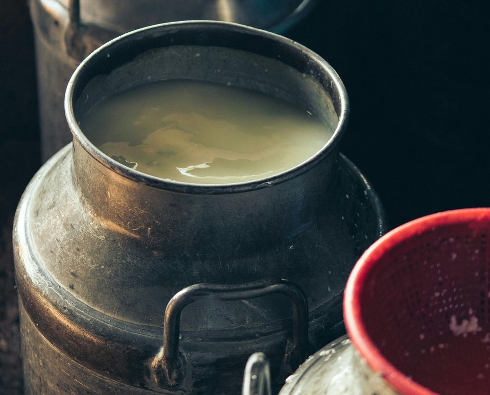 Primavera: ya en agosto se nota una mejoría en la remisión de leche que, como siempre sucede, se acentúa en los meses siguientes.