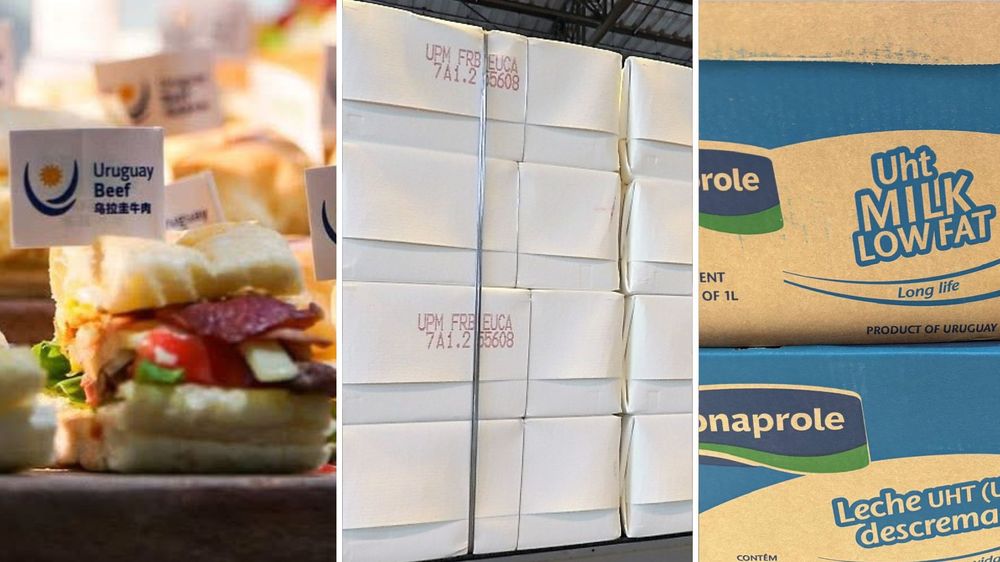 Carne vacuna, celulosa y lácteos, motores clave en las exportaciones.