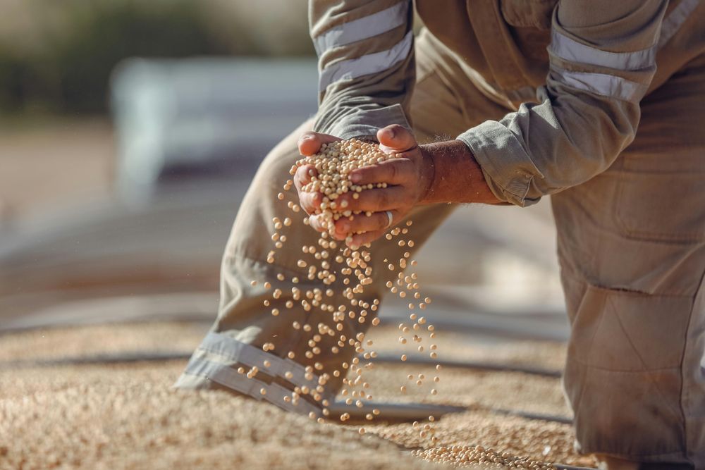 Brasil, potencia en el mundo en el sector de los agroalimentos, sede de una instancia de alta relevancia.