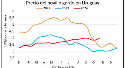 Mercado ganadero, Blasina y Asociados.