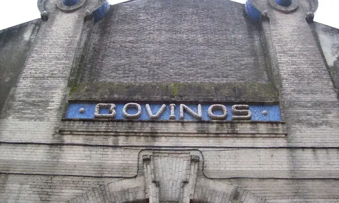 100 años de historia genética