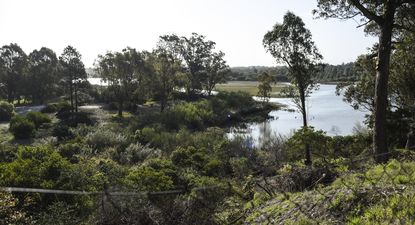El Observador | 20240926 Proyecto de barrio privado en Solis Chico, genera quejas en vecinos de La Floresta. (1).jpg