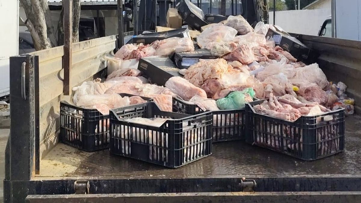 Incautaron y destruyeron ocho toneladas de carnes que se iban a vender en condiciones irregulares
