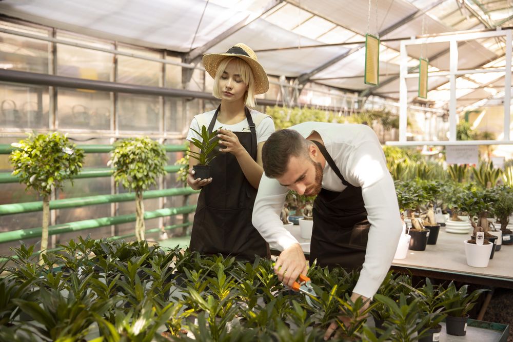 Los postulantes que accedan al empleo deberán colaboran en la siembra, cultivo y cosecha de productos en el vivero.