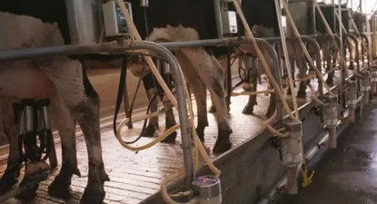 La lechería estará en el tapete en la jornada de Agro en Foco a realizarse en Florida