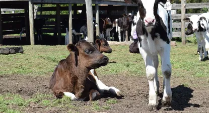 El Observador | 1636759815514.webp