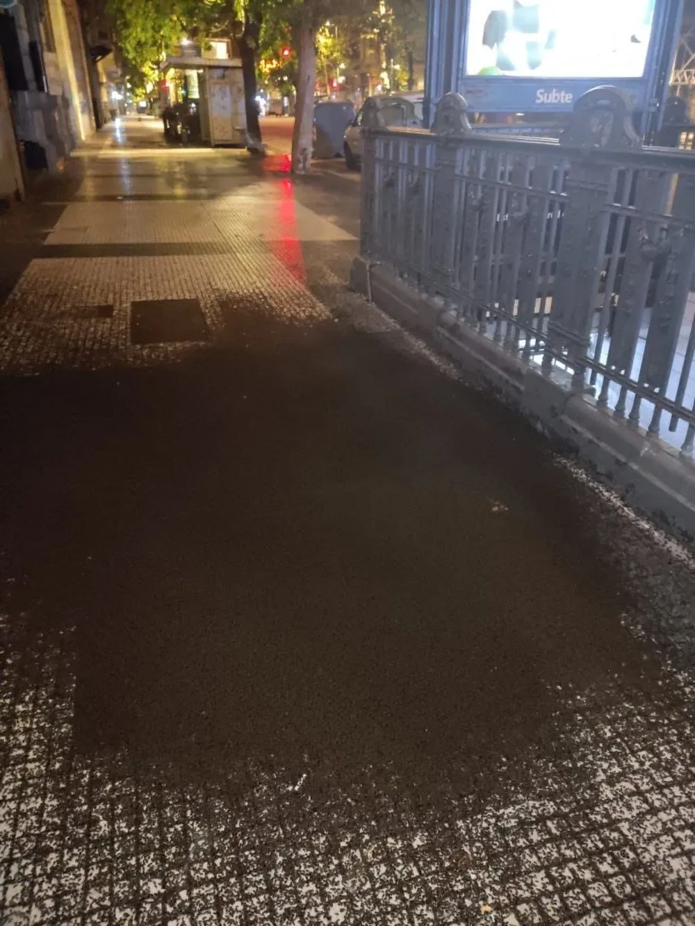 Una laguna de mosquitos en la vereda de la entrada a la Estación Piedras de la línea A de Subterráneos