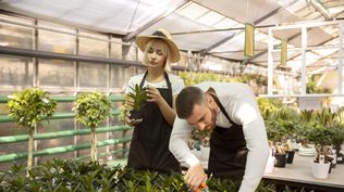 Los postulantes que accedan al empleo deberán colaboran en la siembra, cultivo y cosecha de productos en el vivero.