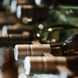 El vino argentino bajo presión: exportaciones en caída, precios contenidos y una apuesta por nuevos mercados