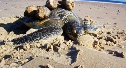 El Observador | 0000349481.webp