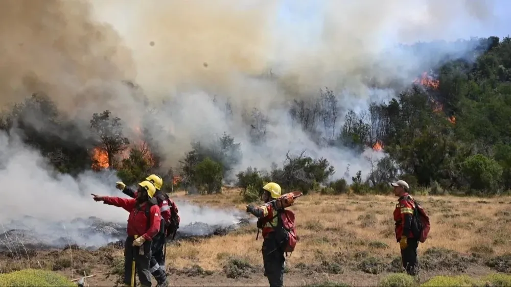 Se ofrecen recompensas para quienes den información sobre los incendios de Los Alerces. Foto: Télam