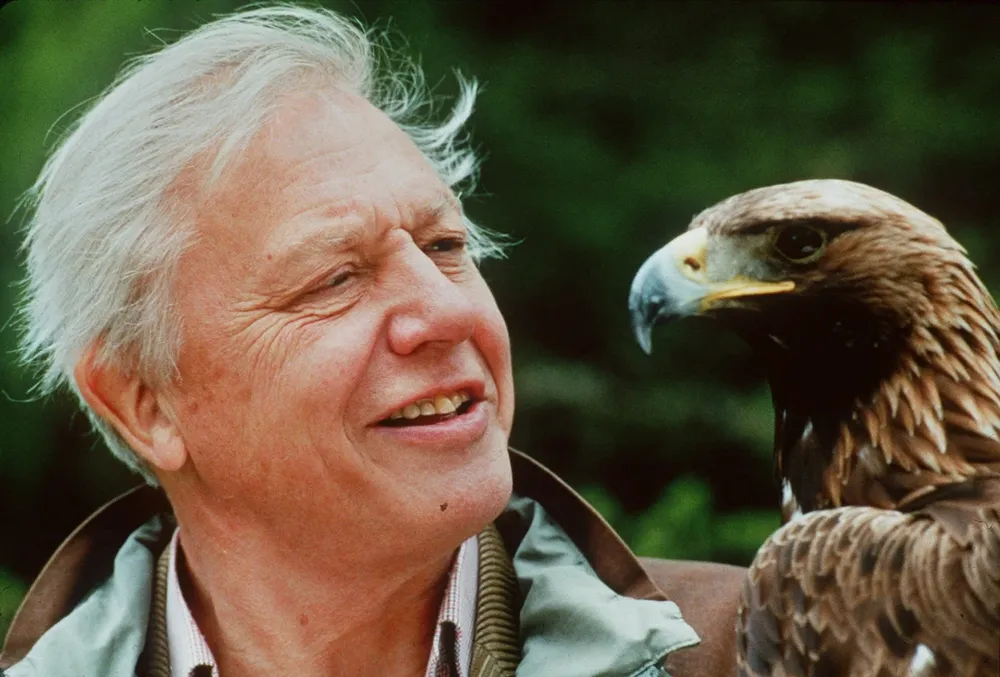 David Attenborough protagonizó diversas series centradas en la vida de la Tierra, incluyendo un programa en la BBC