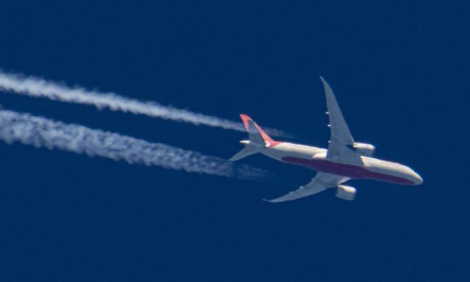El vuelo 171 de Air India que se estrelló con 240 personas a bordo era un avión Dreamliner 787 de Boeing.