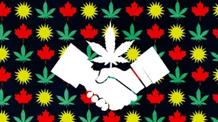 Canadá, el segundo en derrotar a la prohibición del cannabis