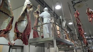 Carnes vacunas, principal subrubro de exportación de la agroindustria cárnica en Uruguay.