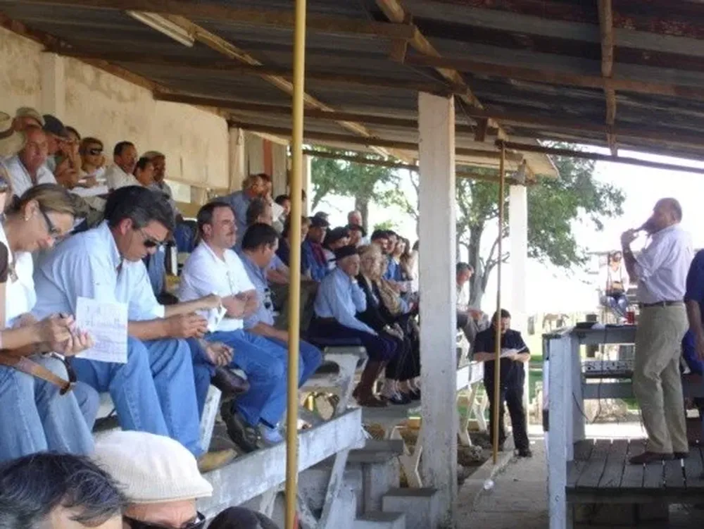Feria de Otto Fernández en Parada Fariña