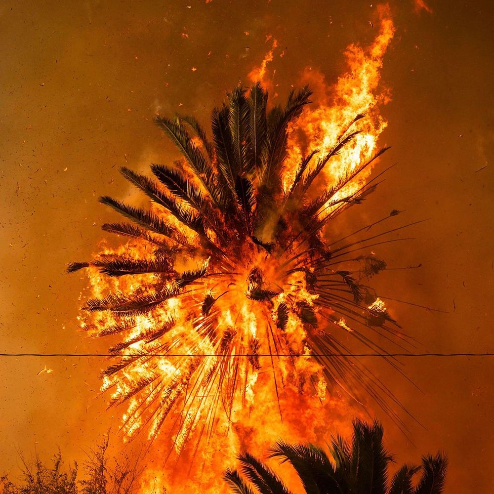 La vegetación proporciona un potente combustible para los incendios forestales.