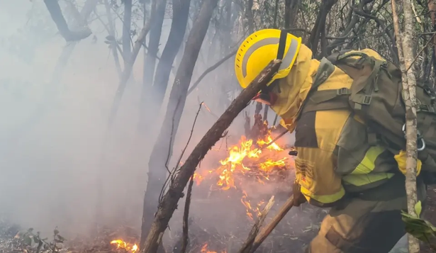 Un bombero forestal lucha contra un incendio en España.&nbsp;